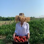 Gasthof Agroturizem Gjepali *