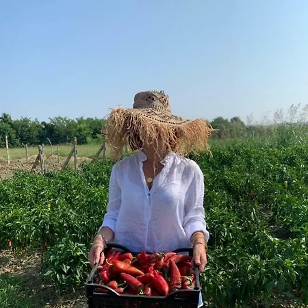 Han/Misafirhane Agroturizem Gjepali *