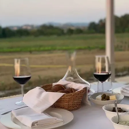 여관 Agroturizem Gjepali *