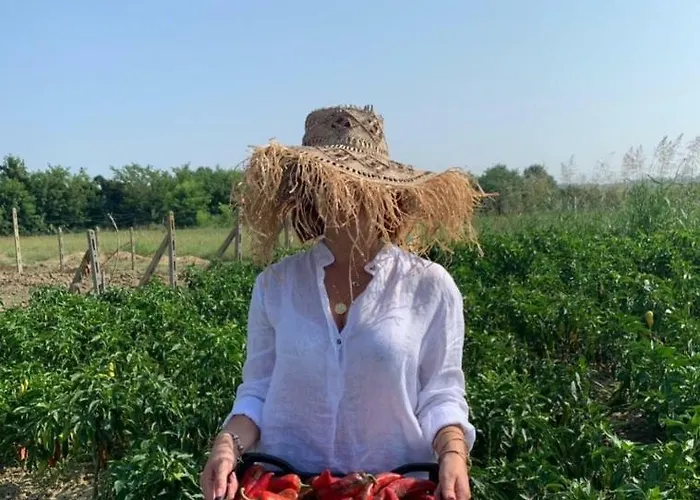 Mini-hôtel Agroturizem Gjepali *